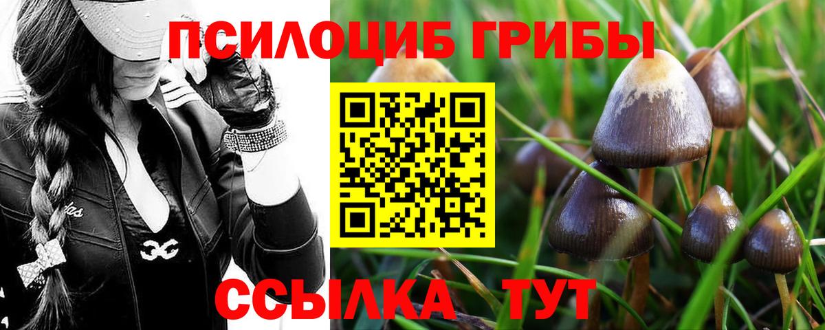 Галлюциногенные грибы Psilocybine cubensis  Вход с VPN  Бугуруслан 